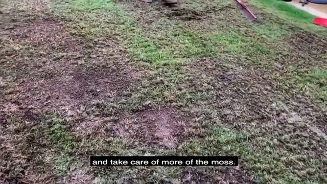 Removing Moss From A Lawn