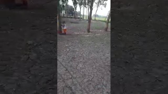 mama amar tar mayer sathe gurtece смотреть онлайн