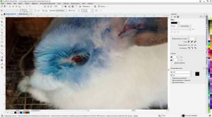 Работа с Вирусами - Красители, ФДТ, Катушки Мишина