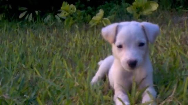 video sasha011 смотреть онлайн