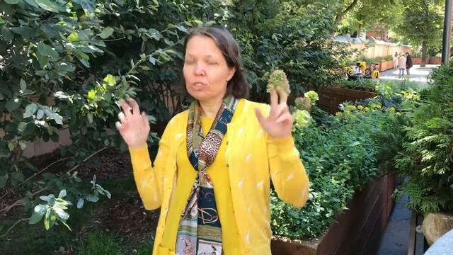 Видеовизитка старшего менеджера KPMG смотреть онлайн