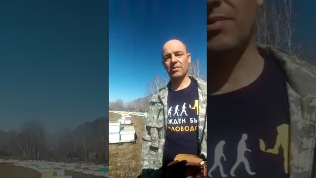 Пчеловоды России, объединяйтесь смотреть онлайн