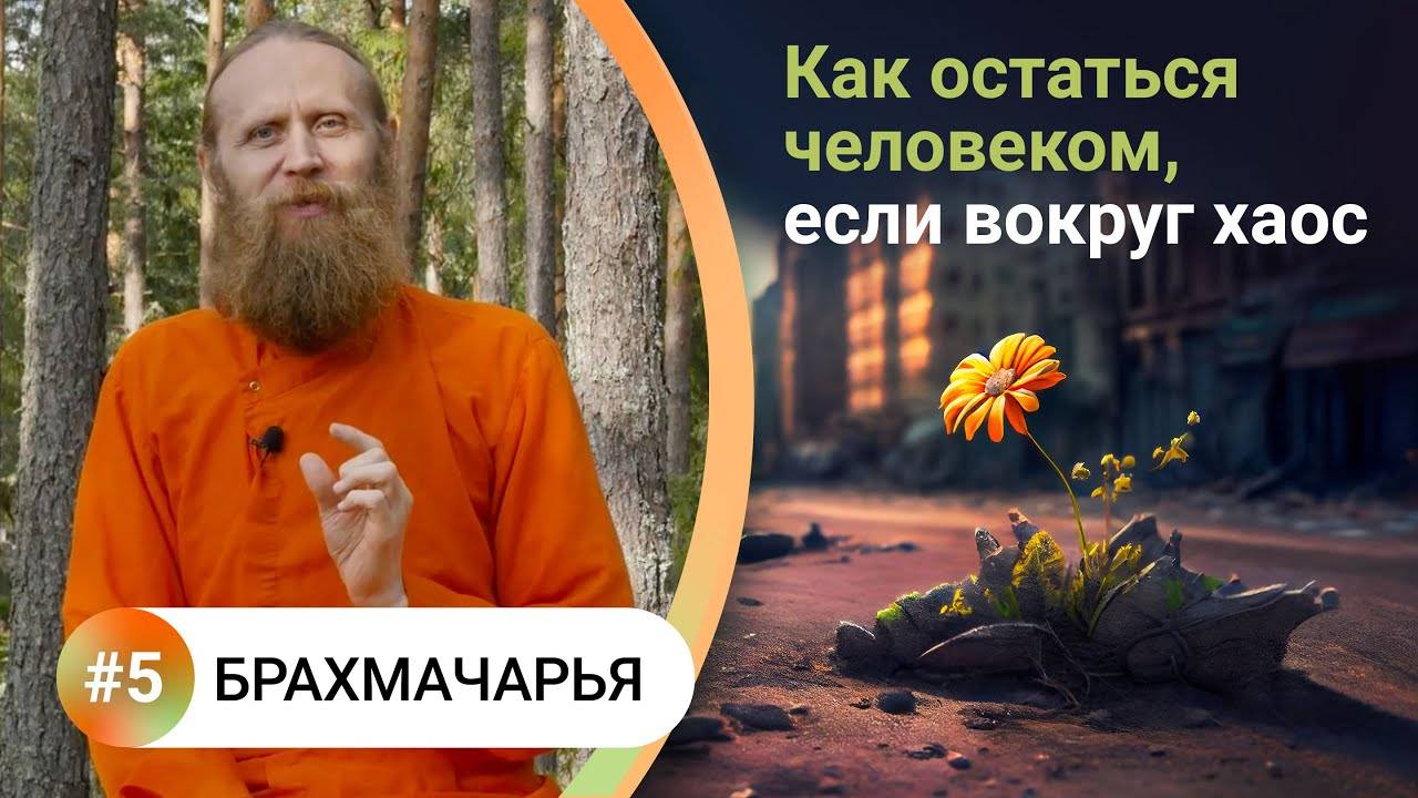 Как жить в балансе? — 5. БРАХМАЧАРЬЯ. Счастье во всем. Как остаться человеком, если вокруг хаос? смотреть онлайн