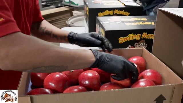 Packing and Shipping Washington New Crop Season 2020 Aztec Fuji Apples! смотреть онлайн