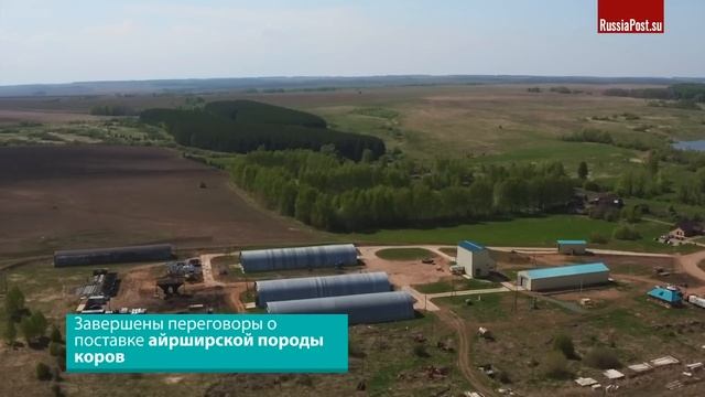 Плохие новости для конкурентов. В России строятся огромные проекты в молочной отрасли. Обзор смотреть онлайн