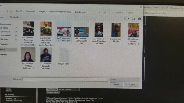 Cerberus / Fenrir CMS - Instant Messenger Beta Demo смотреть онлайн