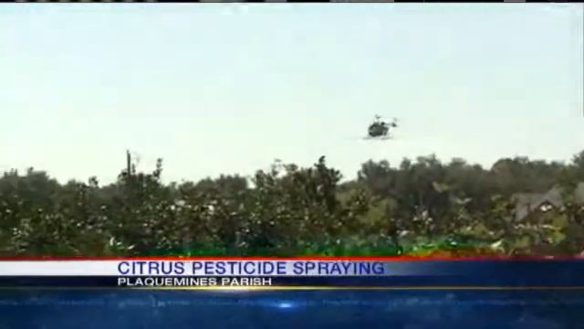 Parish Sprays Citrus Groves To Fight Bugs смотреть онлайн