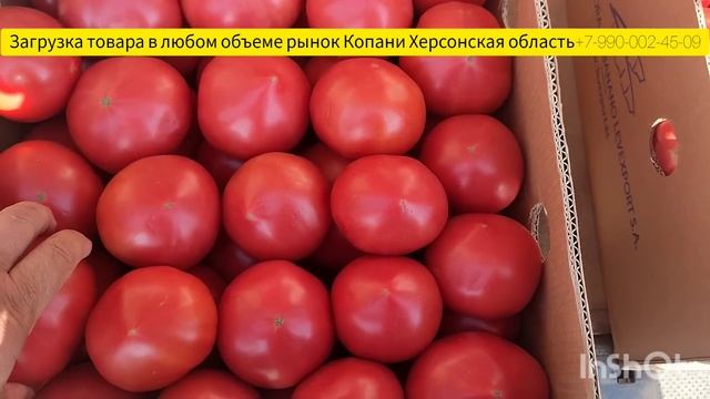 11-05-2024 г Цены сегодня рынок Великие Копани Херсонская область.