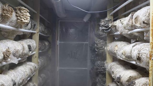 A Week In The Grow Room Time Lapse смотреть онлайн