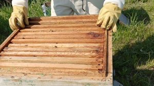 Установка магазинов на улей