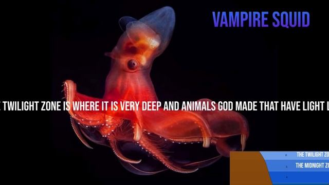 God made ocean zones смотреть онлайн