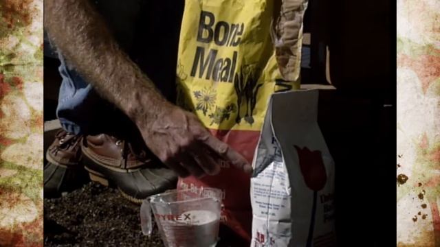 400 Years of Holland Bulbs смотреть онлайн