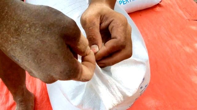 FERMENTASI PAKAN BROILER UNTUK MENINGKATKAN KUALITAS NUTRISI PAKAN смотреть онлайн
