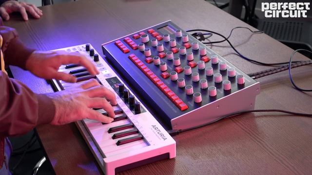 Nina Hybrid Polyphonic Synthesizer Module Sound Demo No Talking смотреть онлайн