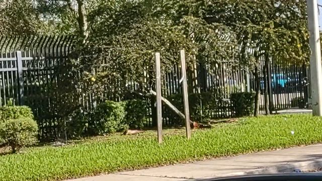 ice-ero center Miramar fl (busy day ) 🚓 смотреть онлайн