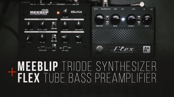 Meeblip triode + Flex tube bass preamplifier