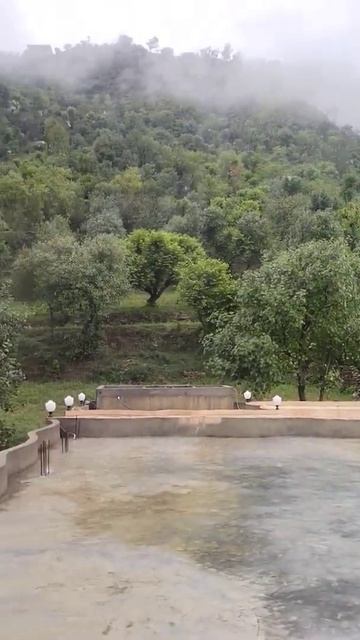 #Battagram #thakot #batkool #shortsyoutube #viral #video #Baran смотреть онлайн