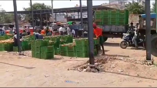 11-05-24 Angallu Tomato Market price Today || Today Tomato Market Rate in Madanapalle #today смотреть онлайн