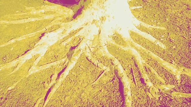 Omega wave смотреть онлайн