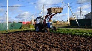 Трактор Беларусь пашет плугом