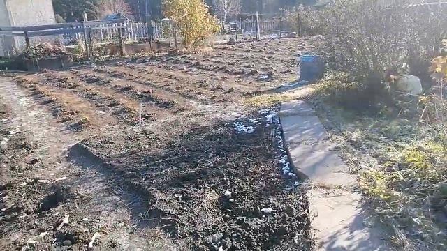 наш огород с клубникой .Посажено все рядами на одинаковом расстоянии смотреть онлайн