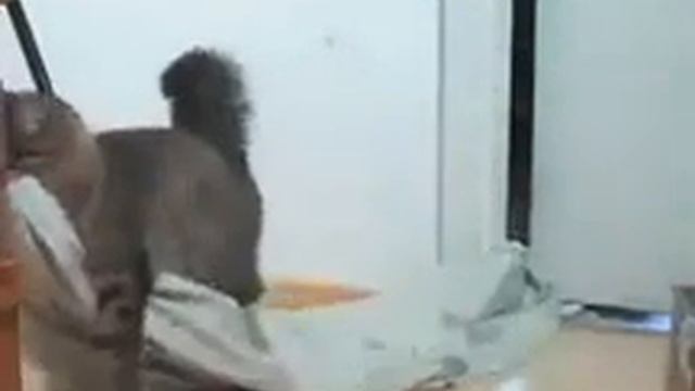 Лето не удалось Пора обзаводиться одеялом смотреть онлайн