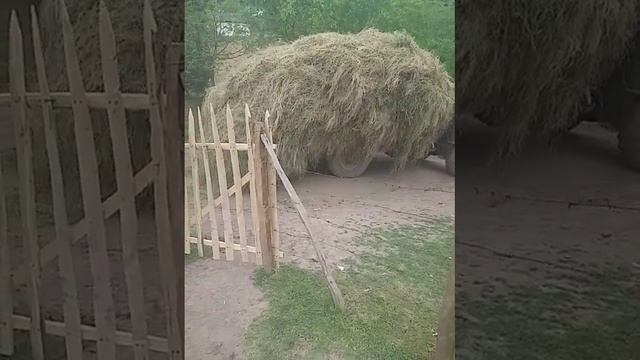 Qaz 66 смотреть онлайн