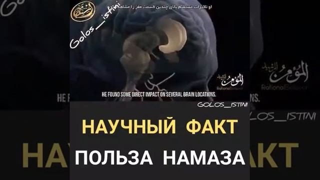 НАУЧНЫЙ ФАКТ ПОЛЬЗА НАМАЗА смотреть онлайн