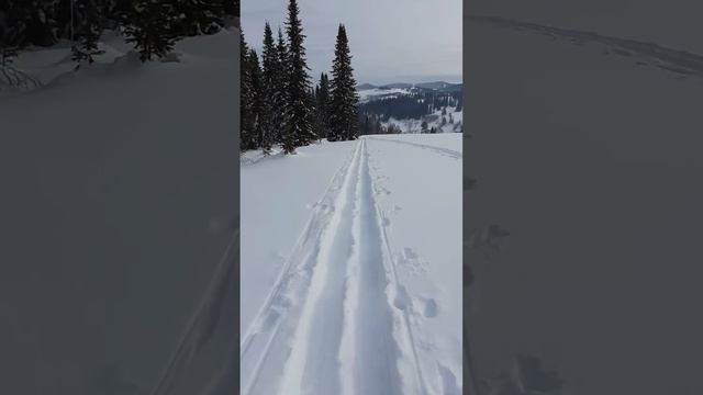 Сибирские развлечения (одно из) смотреть онлайн