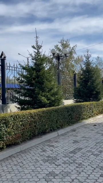 Озеленение питомник Велес г Чита, Забайкальский край