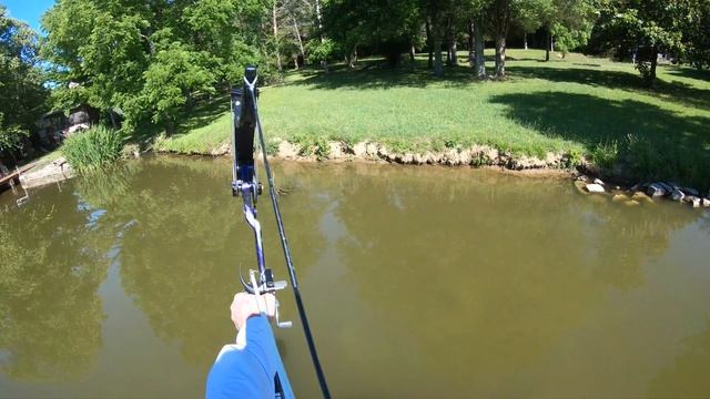 Bowfishing Grass Carp During the Day (4k Bowfishing) смотреть онлайн