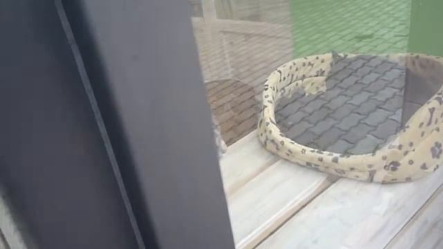 город Львов Украина Ukraine City Of Lviv