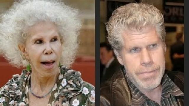 Схожесть знаменитостей смотреть онлайн