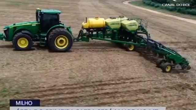 Área destinada ao milho primeira safra deve crescer em MT смотреть онлайн