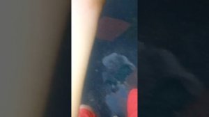 Какаета девочка сказала чтобы я её снял на ютуб