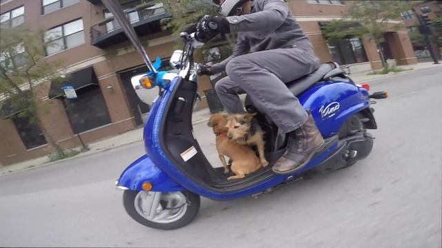 Poncho & Willy on the streets смотреть онлайн