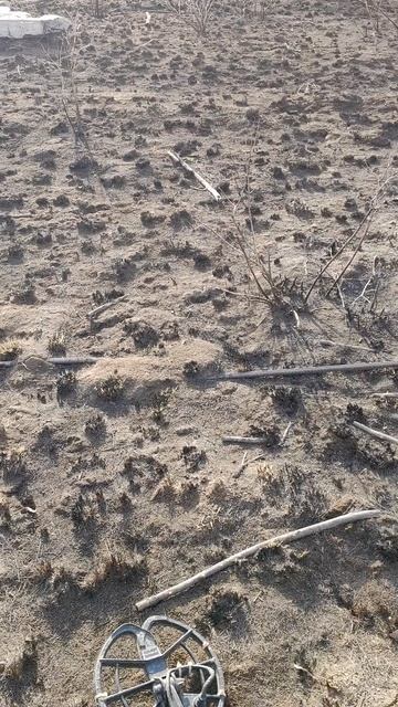 Арматура на сгоревшем поле