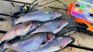 ФОРЕЛЬ АТАКУЕТ ЭТУ РЕЗИНУ Рыбалка на спиннинг весной Ловля форели в ЕСИНО