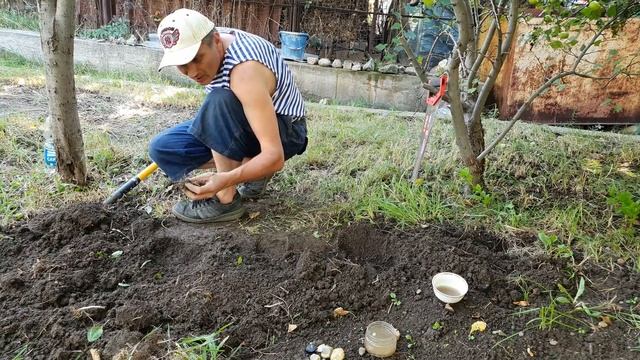 1 8 Собираю урожай синий сапфир 4 смотреть онлайн