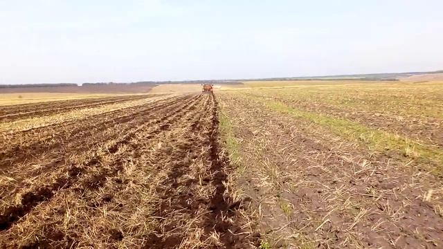 рыхление по пшенице смотреть онлайн