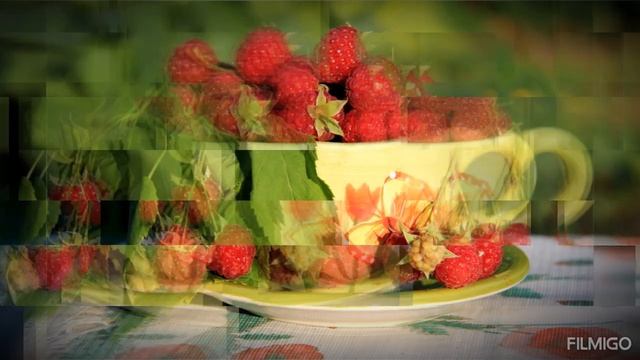 Цветёт малина за окном