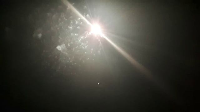 Weco Aligator | 3,99 € (2019/2020) смотреть онлайн