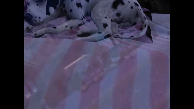 " Renascence 2 " Odcinek 4 | The Sims 2 | смотреть онлайн