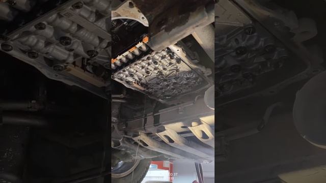 Сад страстей