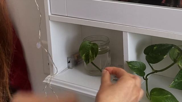 THAT'S IT. i'm going zero waste. смотреть онлайн