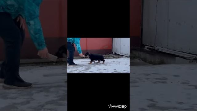 Помет «В» от 01.11.2022 смотреть онлайн