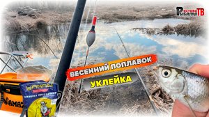Весенняя ловля уклейки в ручье на поплавок.