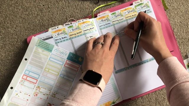 Passion Planner Plan With Me WB 10th June (Ad) смотреть онлайн