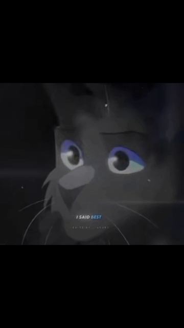 #КотыВоители#СиняяЗвезда#Люблю#МоёМнение