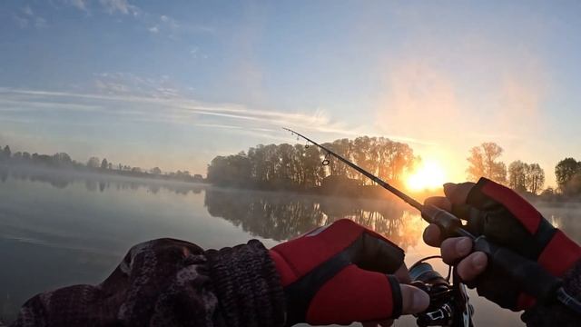 Шли ловить щук и судаков по 3-5кг, НО они были не в курсе).